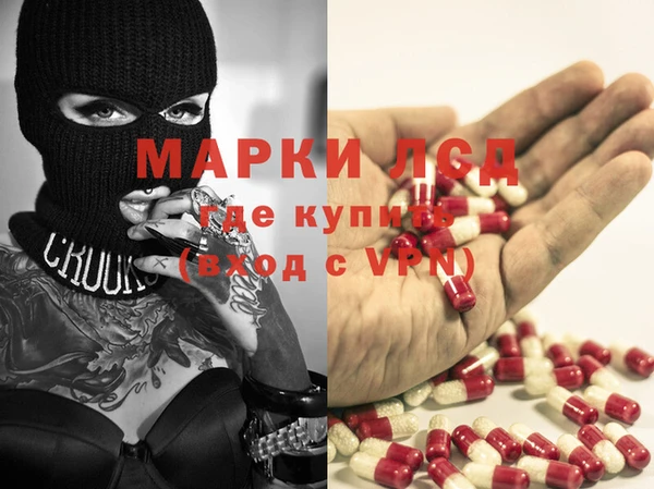 крисы Надым